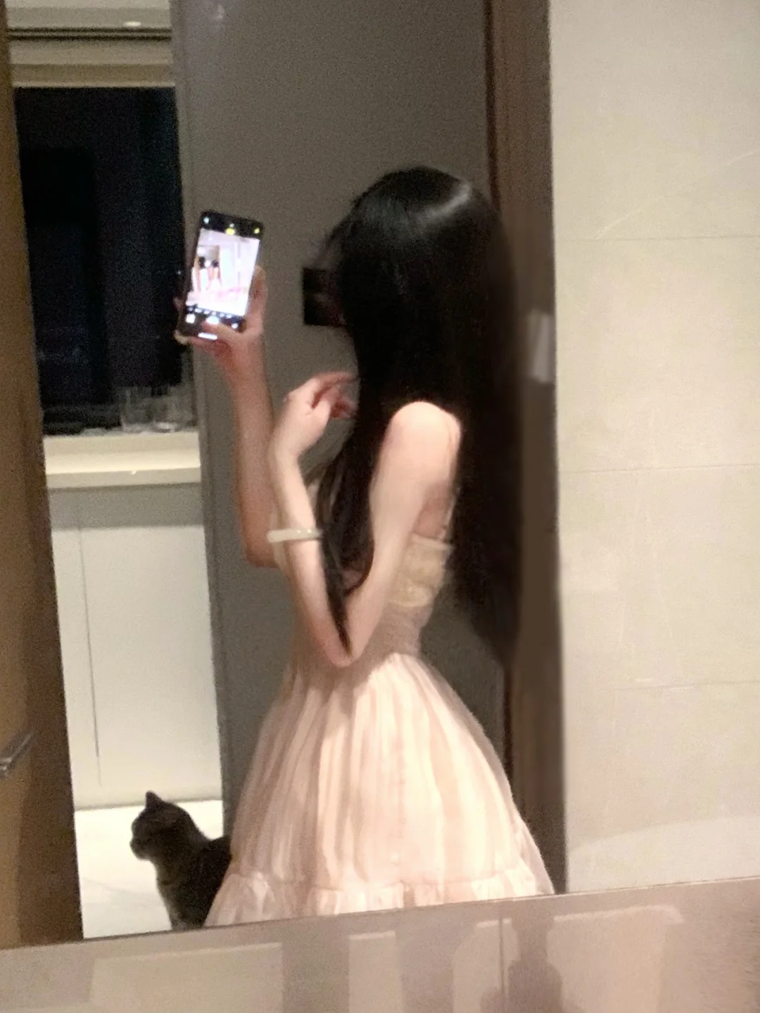 🐈