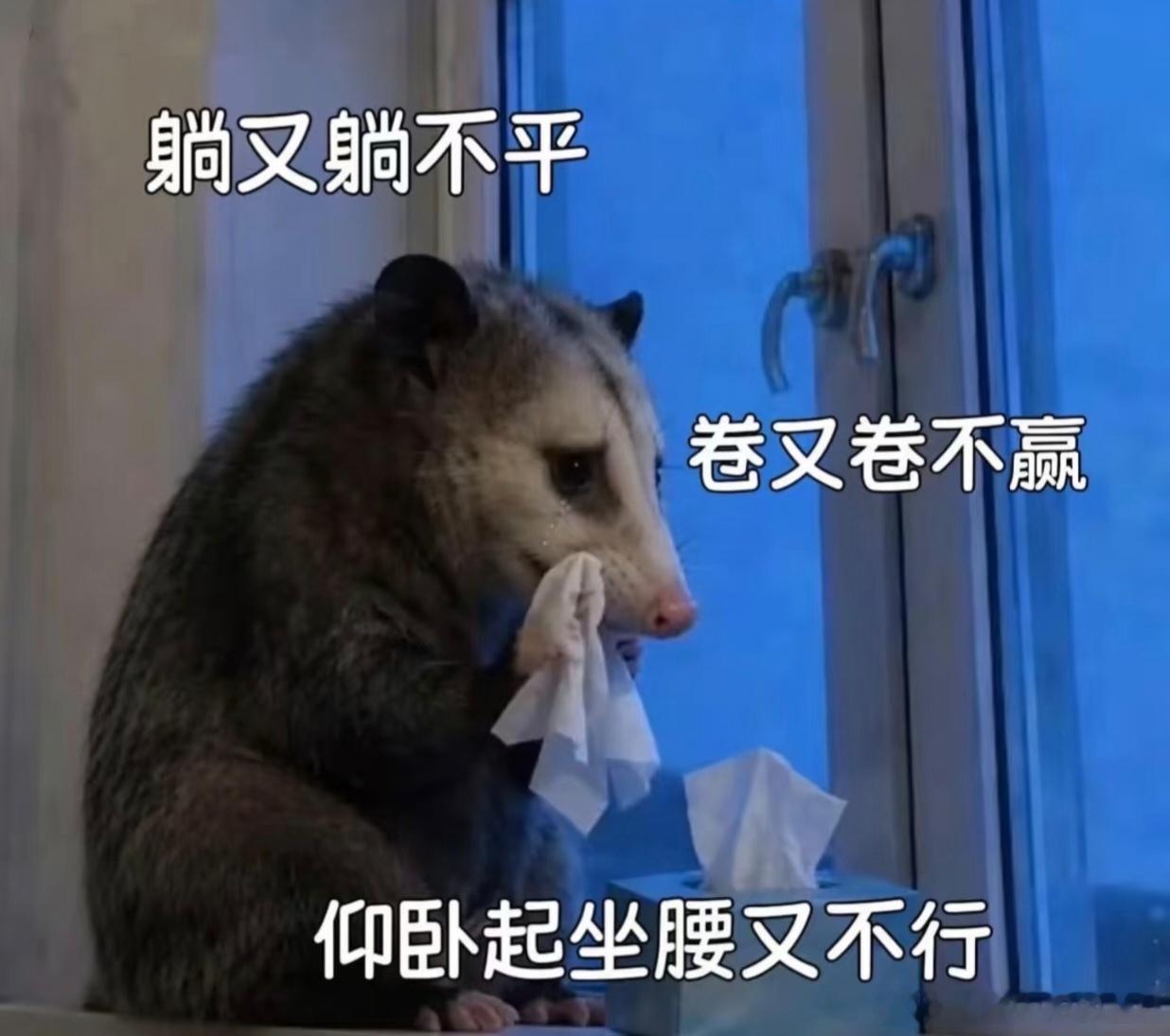 一个治驼背的办法收藏从未停止，行动从未开始