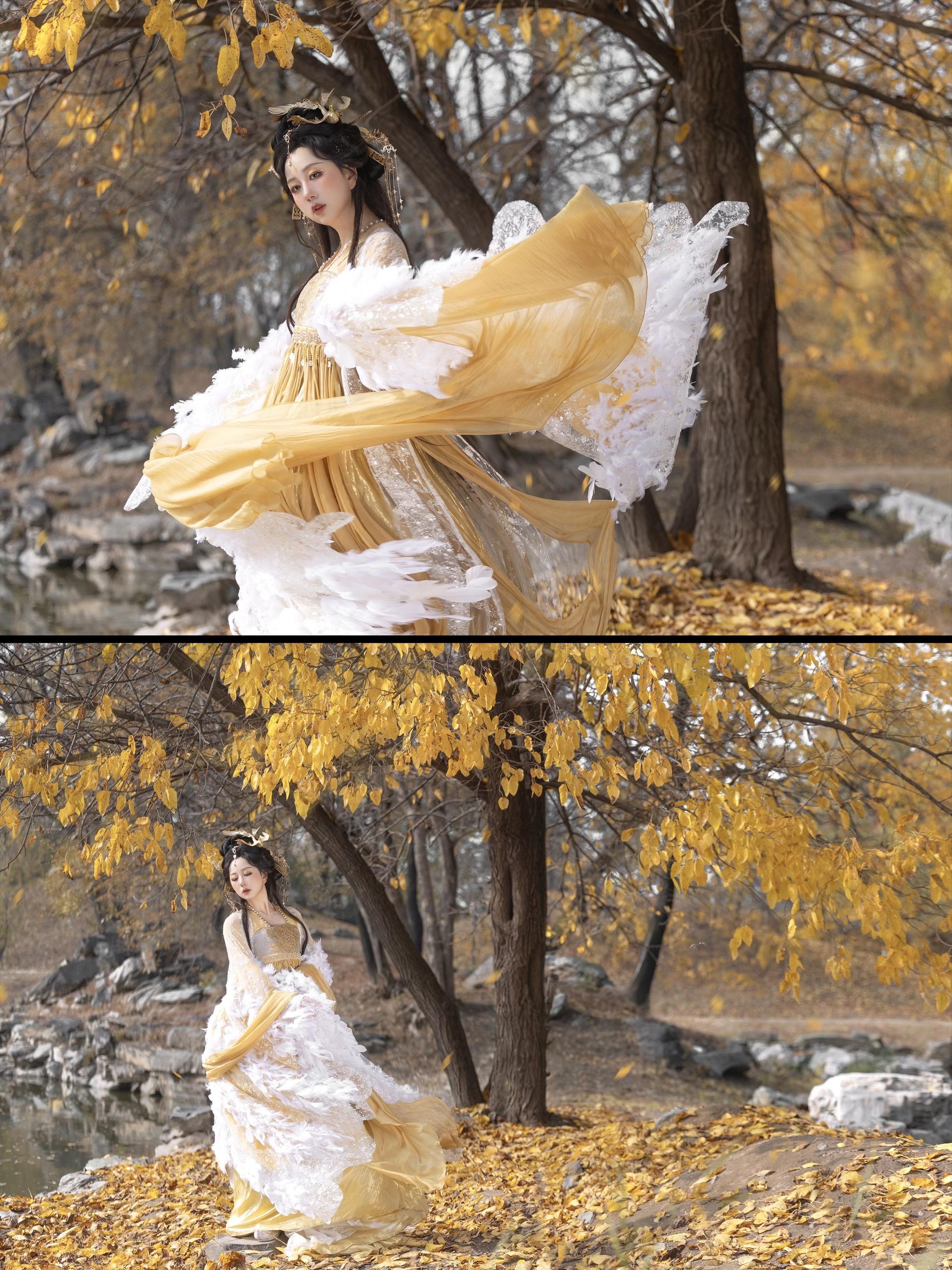 ‘ 衔枝入梦来 ’ ｜ 客。拍了拍北京秋天的树、落叶也很美，地面金金的🍂