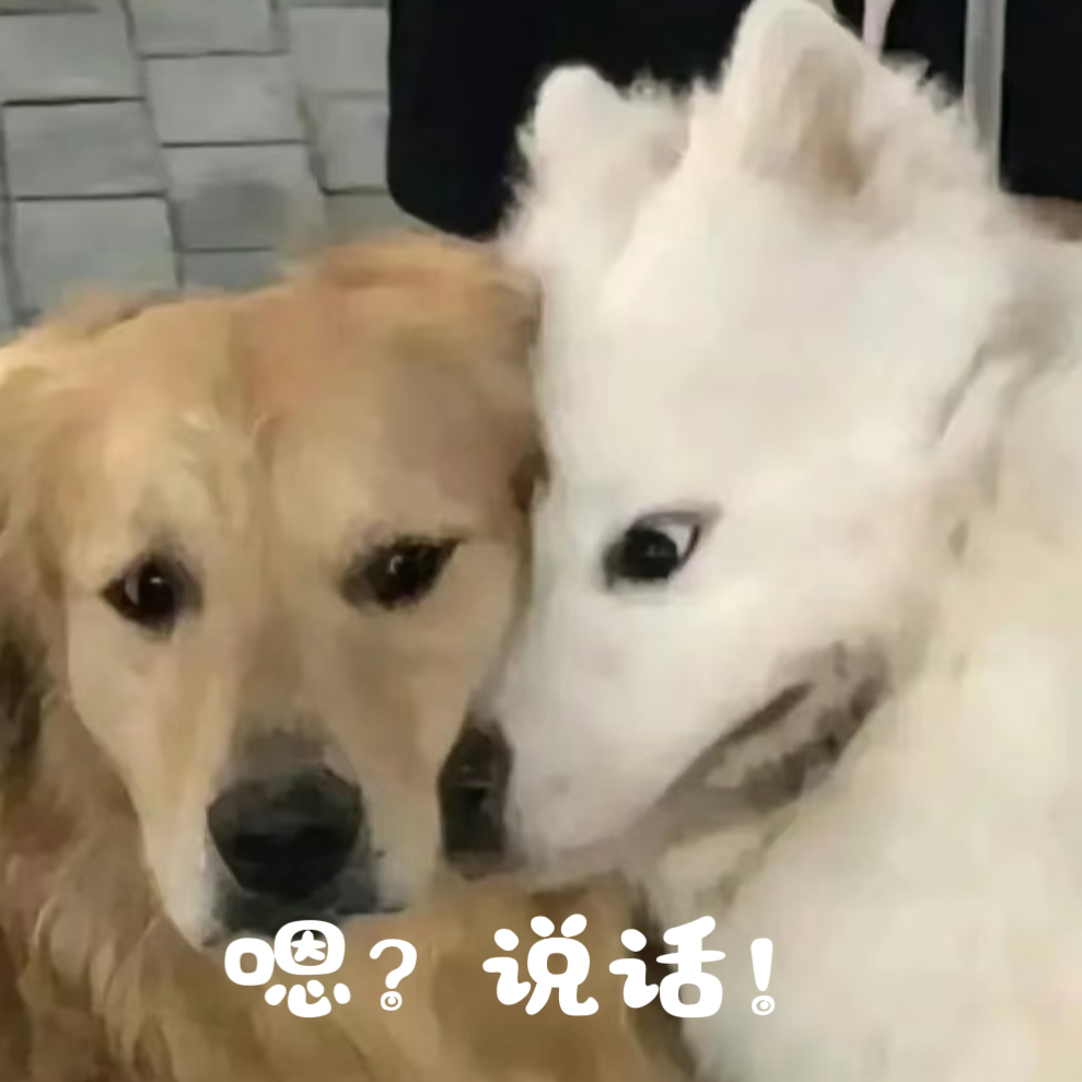 我依宝的美图呢？快发出来让我哈嘶哈嘶[舔屏][舔屏] 