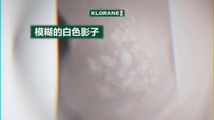 上海情侣异地恋图鉴异地恋不只有奔赴的感动，也有猜忌博弈。细碎心思埋下矛盾隐患，感