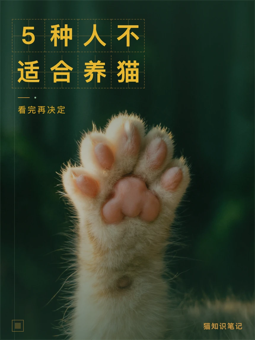 这5种人真的不适合养猫｜看完再决定