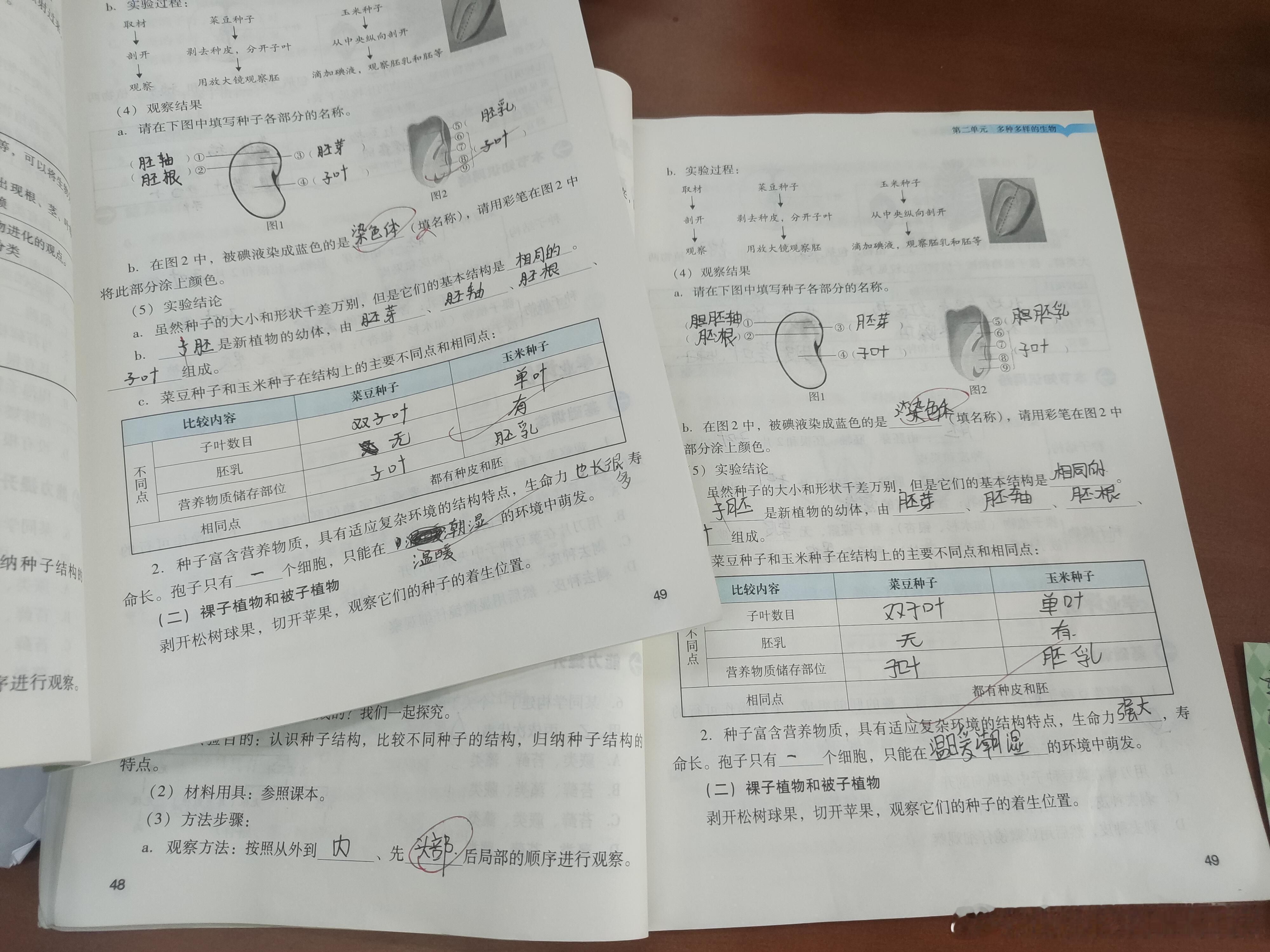 当老师直接掌握一眼鉴抄技能 