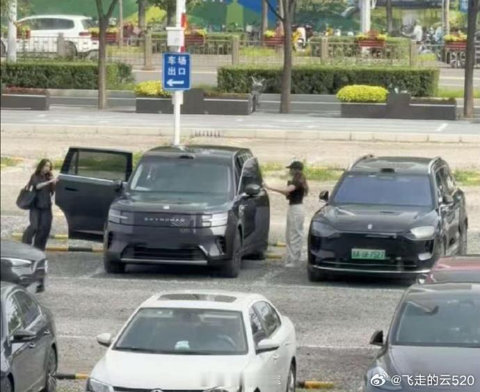 小米澎程N90和问界M9居然故意停在一起了，大家感觉如何 
