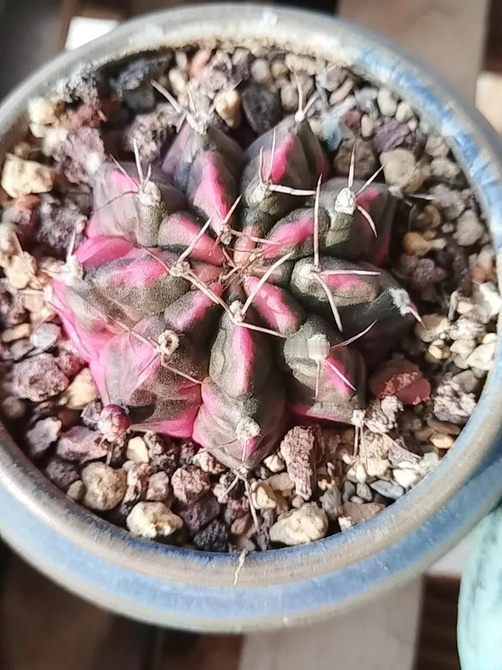 如果不缺钱，你还会工作吗如果不缺钱我会天天在家玩[大笑]