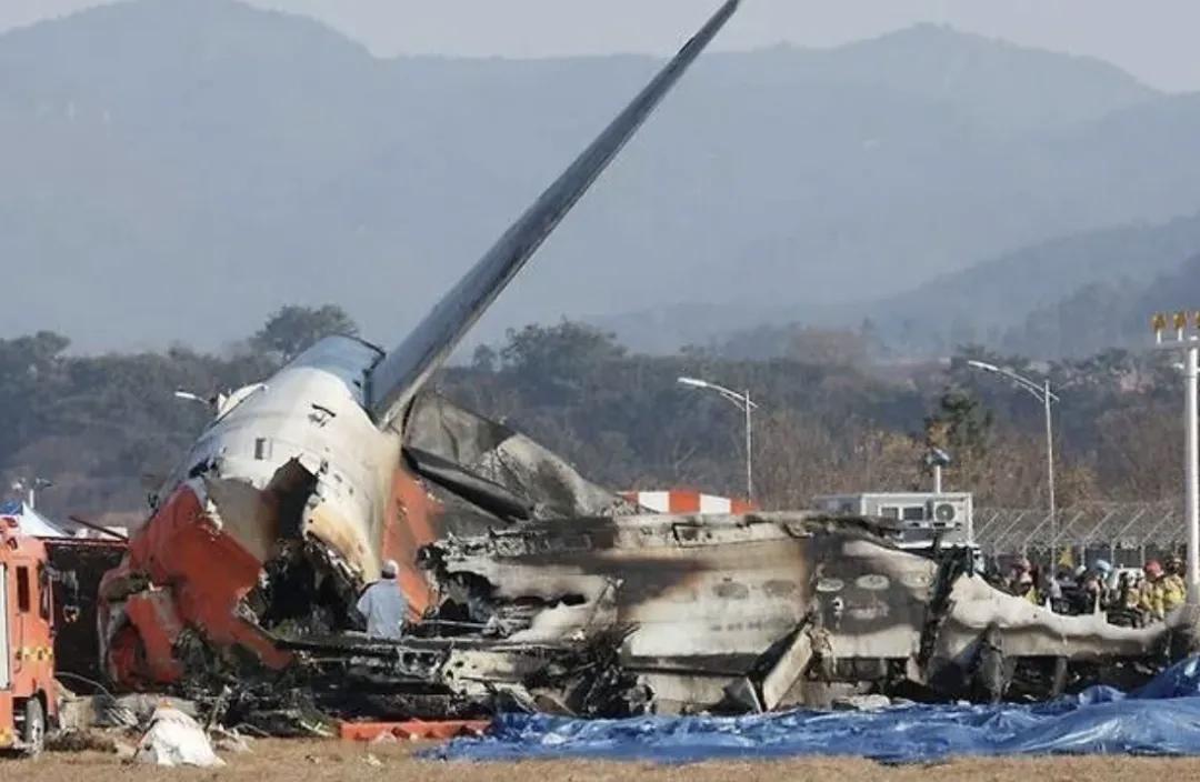 179条生命，竟毁在一道围墙里！
 
谁能想，济州航空空难最戳心的不是鸟击，而是