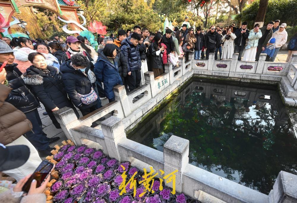 春节假日，济南趵突泉景区成了省内外游客聚焦的旅游热点。2月18日（农历大年初二）