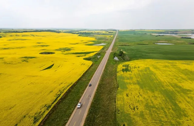 【中方点头后，加拿大放开手脚，对特朗普连出3招，将美国列为敌人行列】就在美方将加