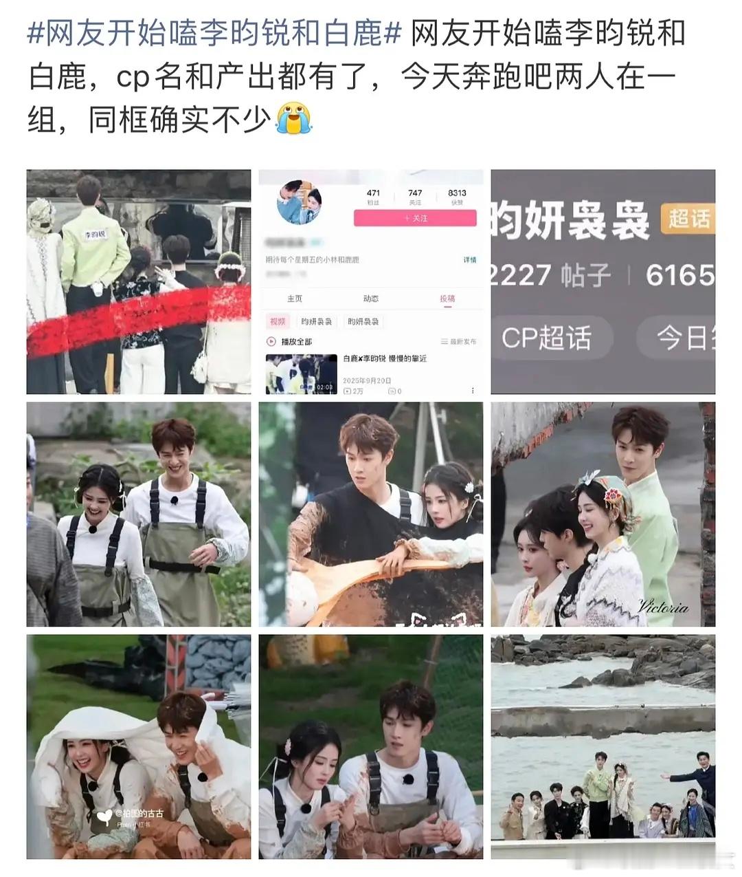 真的有人在磕李昀锐白鹿吗？ 