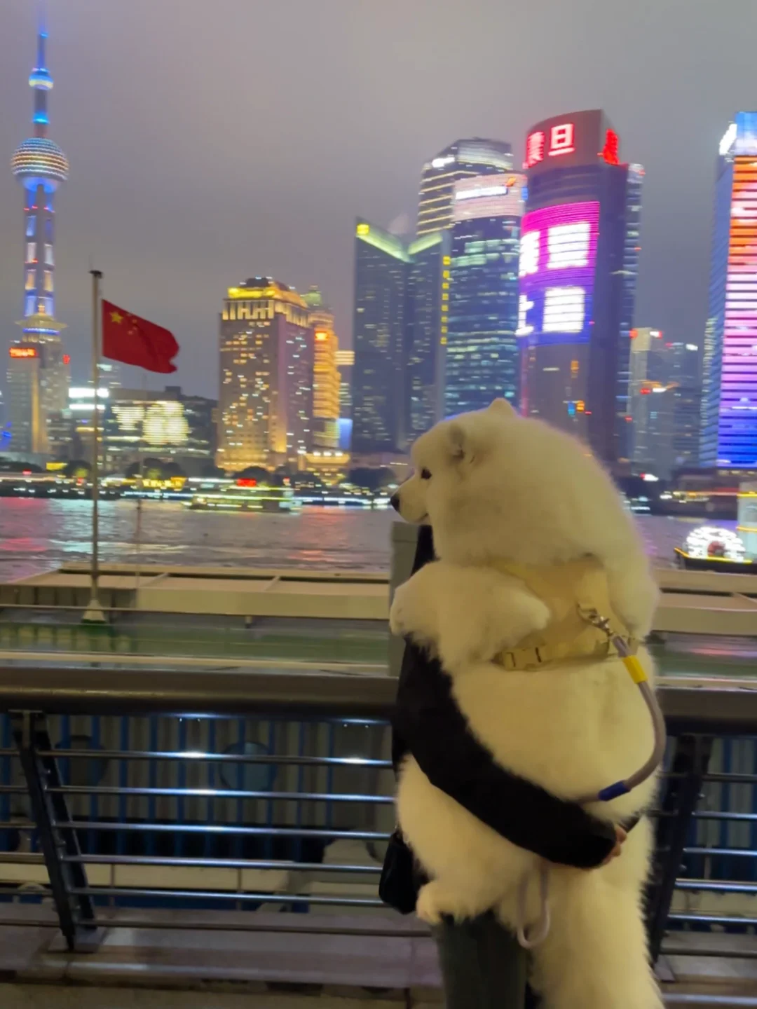 人，我来上海citywalk啦！