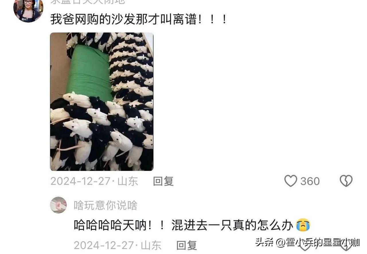 东京上野动物园拆除大熊猫馆，日动物园拆除大熊猫馆民众告别。嗯，是打卡出片的好地方