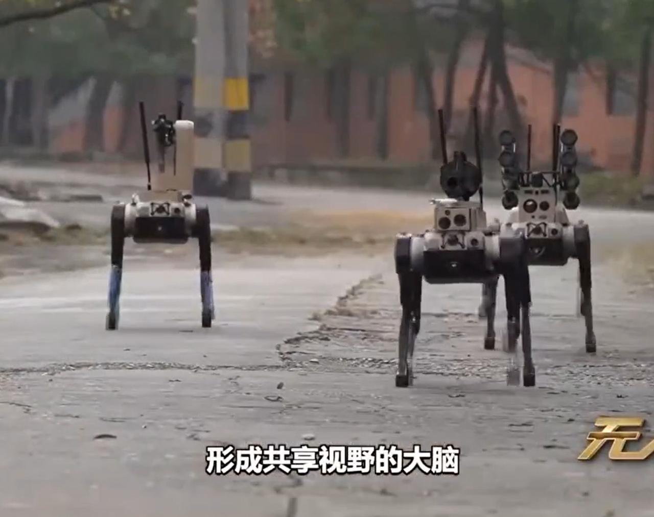 看到机器狼背着191步枪、榴弹枪、微型导弹，我点赞了。

看到机器狼组成三三制队