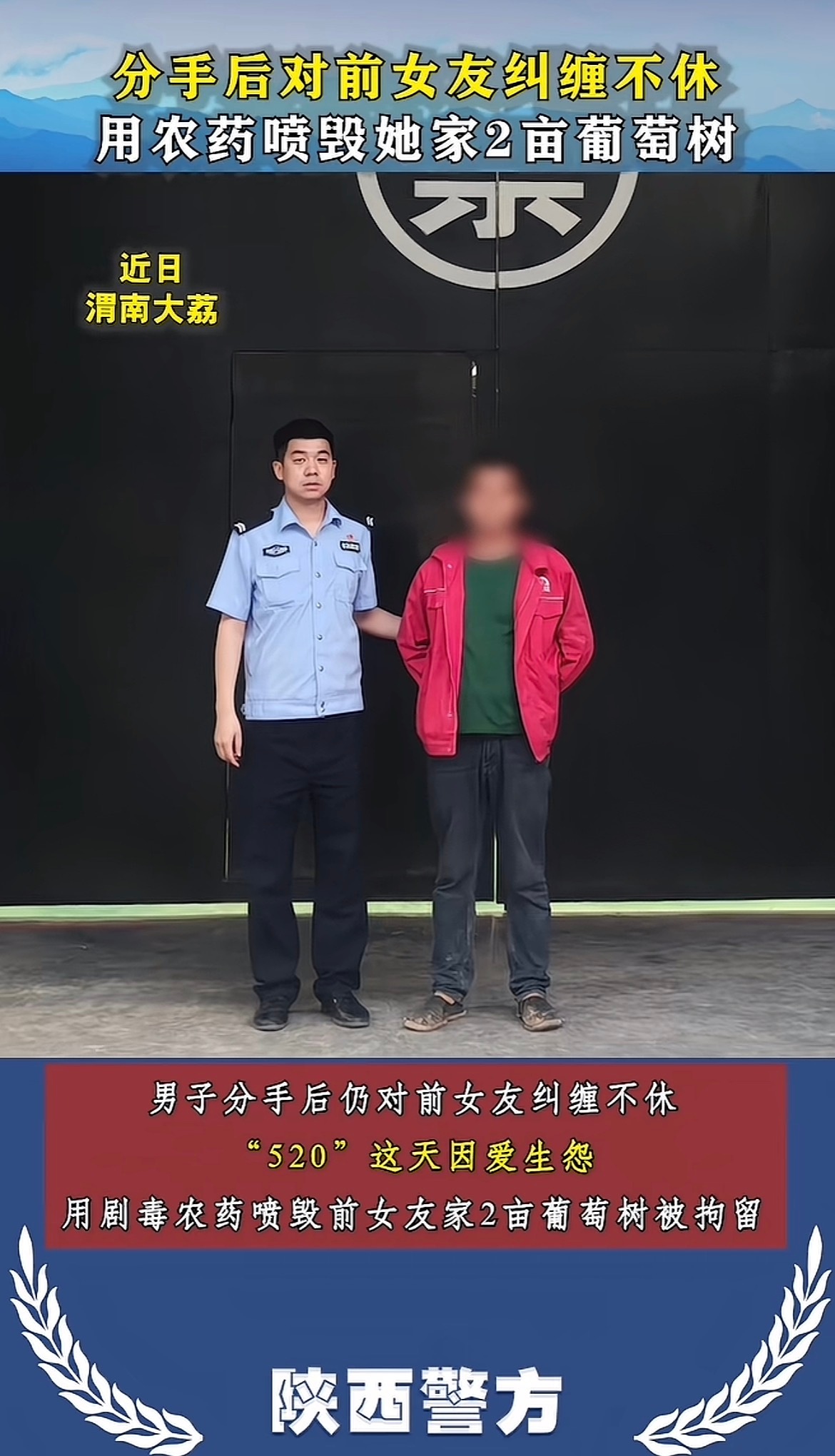 我好心疼那2亩葡萄树
