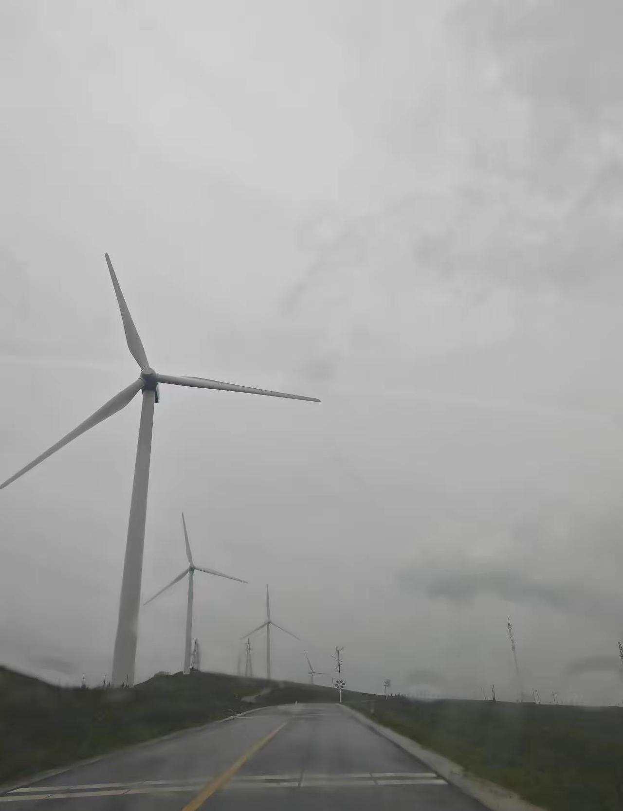 "风遇山止，船到岸停，我到草原就自由。"