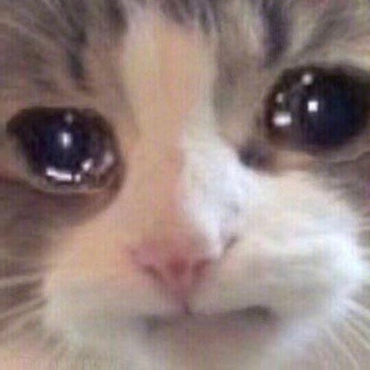 长玉长玉你是一只萌萌的流泪猫猫头🥹逐玉田曦薇好美