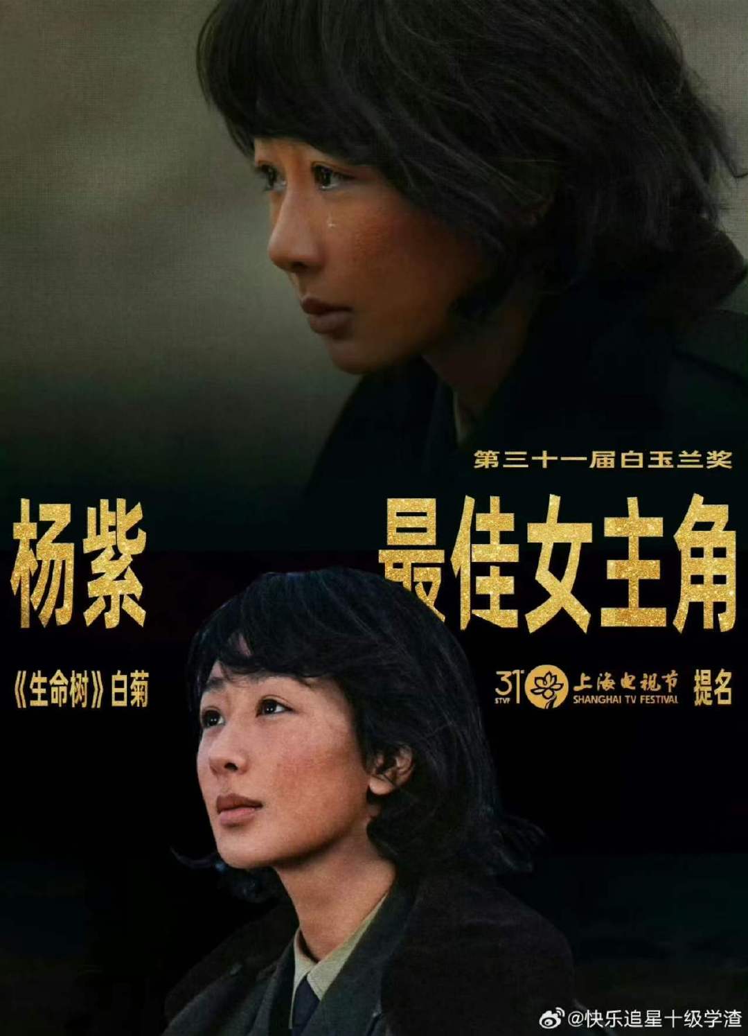 杨紫拿下白玉兰首座90后视后奖  恭喜杨紫！《生命树》值得！白菊值得！！ 