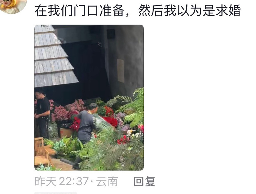 求婚……我愿意