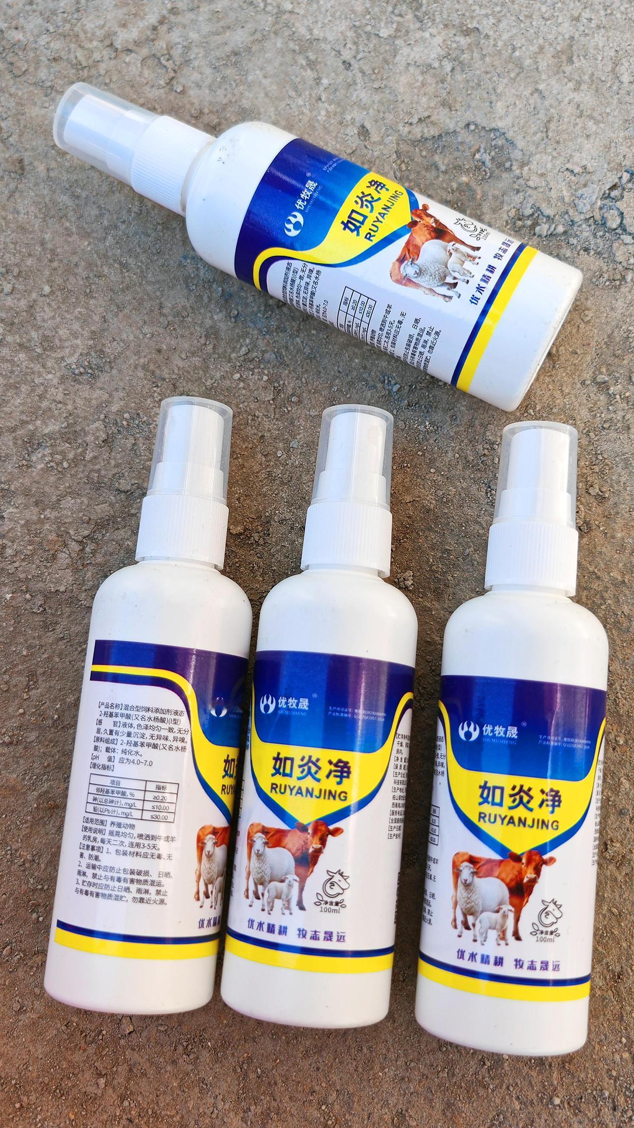 养羊人 农村养羊 牛羊养殖