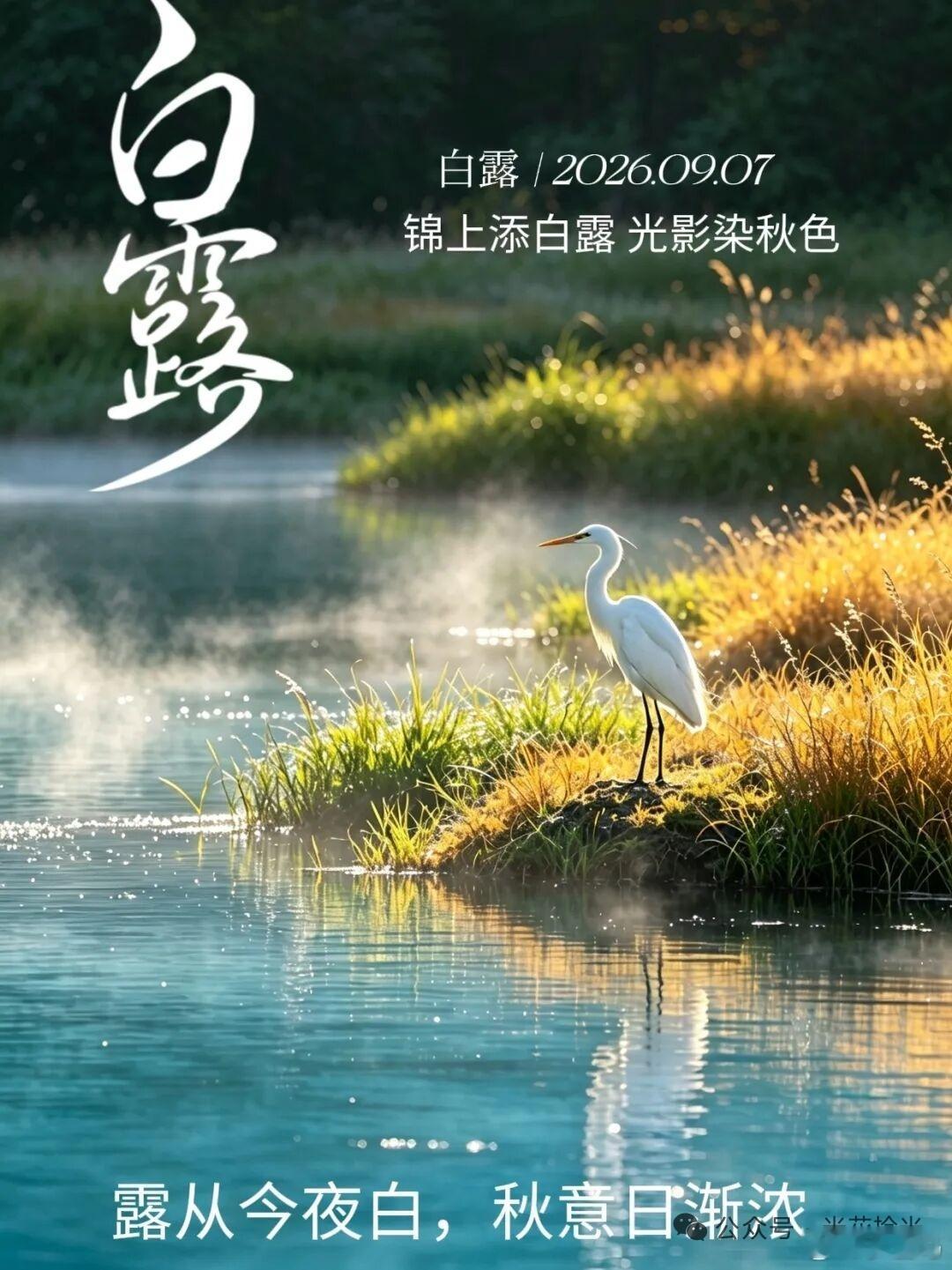 苏童入围纽曼华语文学奖，这不仅是文学圈的盛事，更像是一面镜子，照见了文字在时间里