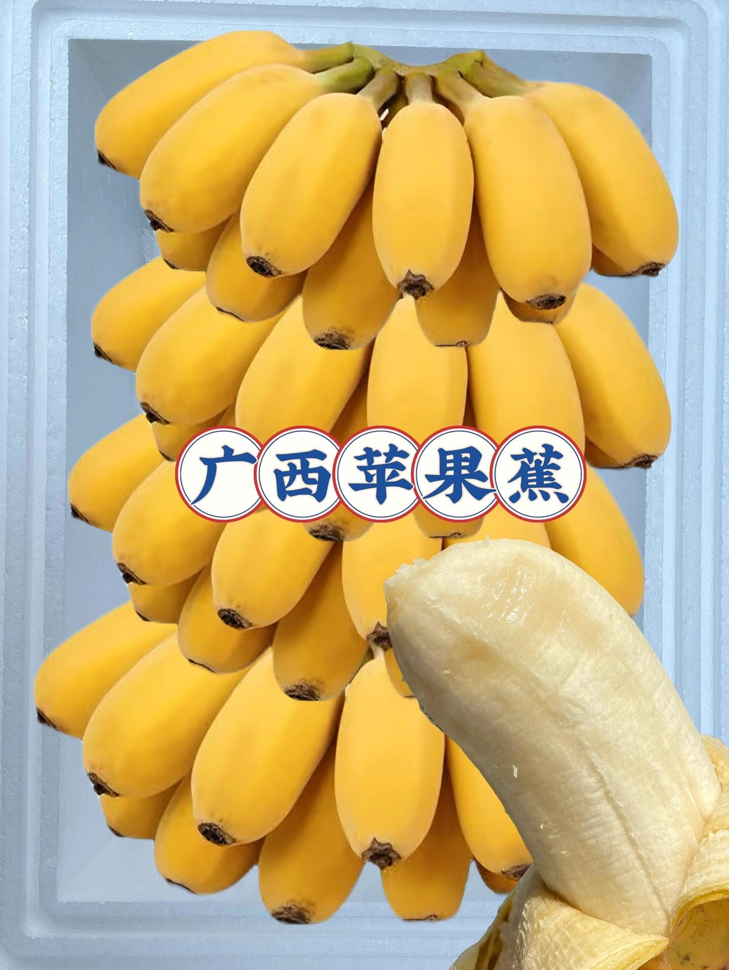 糯叽叽胖嘟嘟！长相矮圆胖的苹果蕉口感糯，一口要去自带苹果香，甜中带一丢...