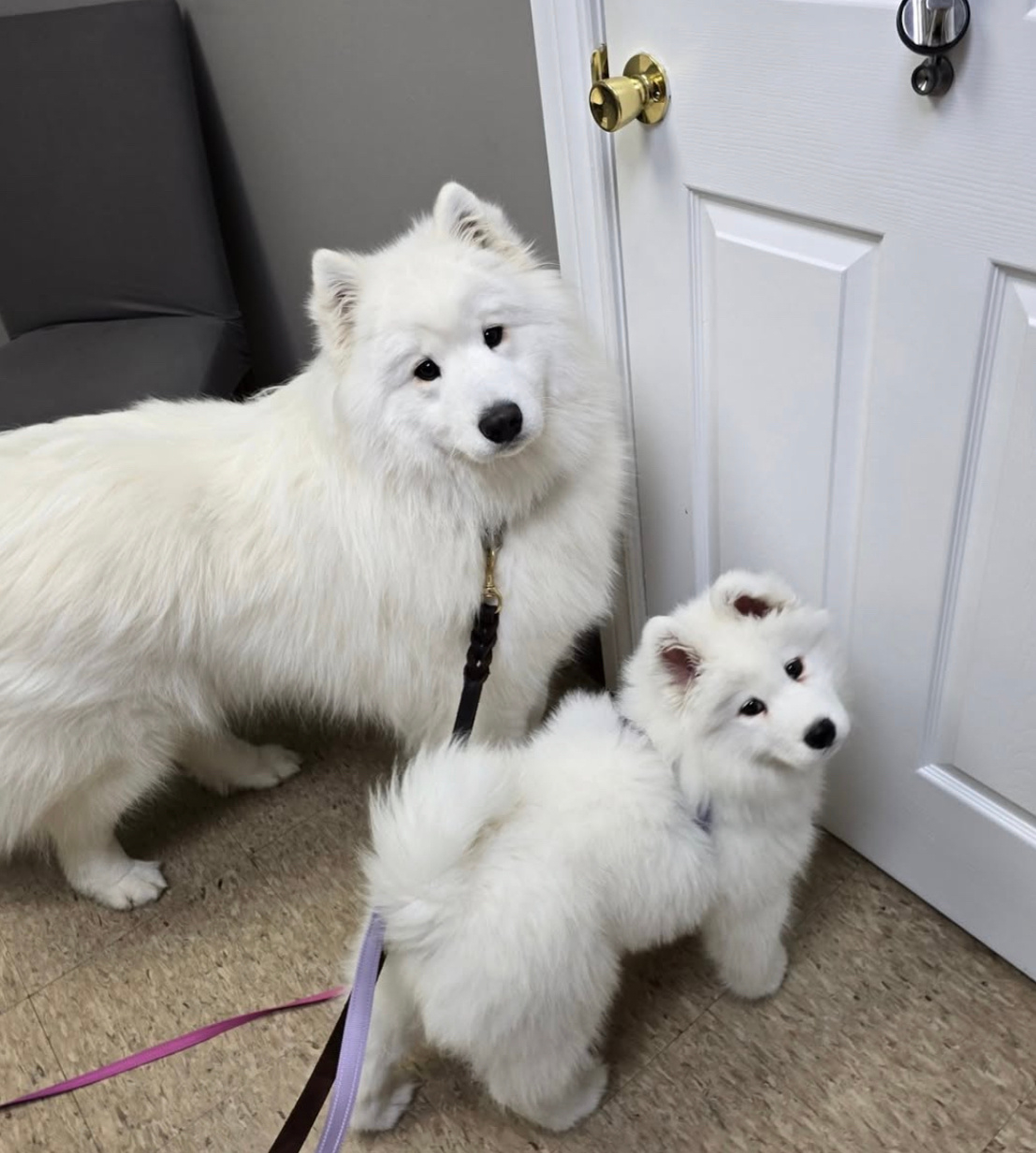 麻麻说我们脚臭不让我们上床睡觉觉了 