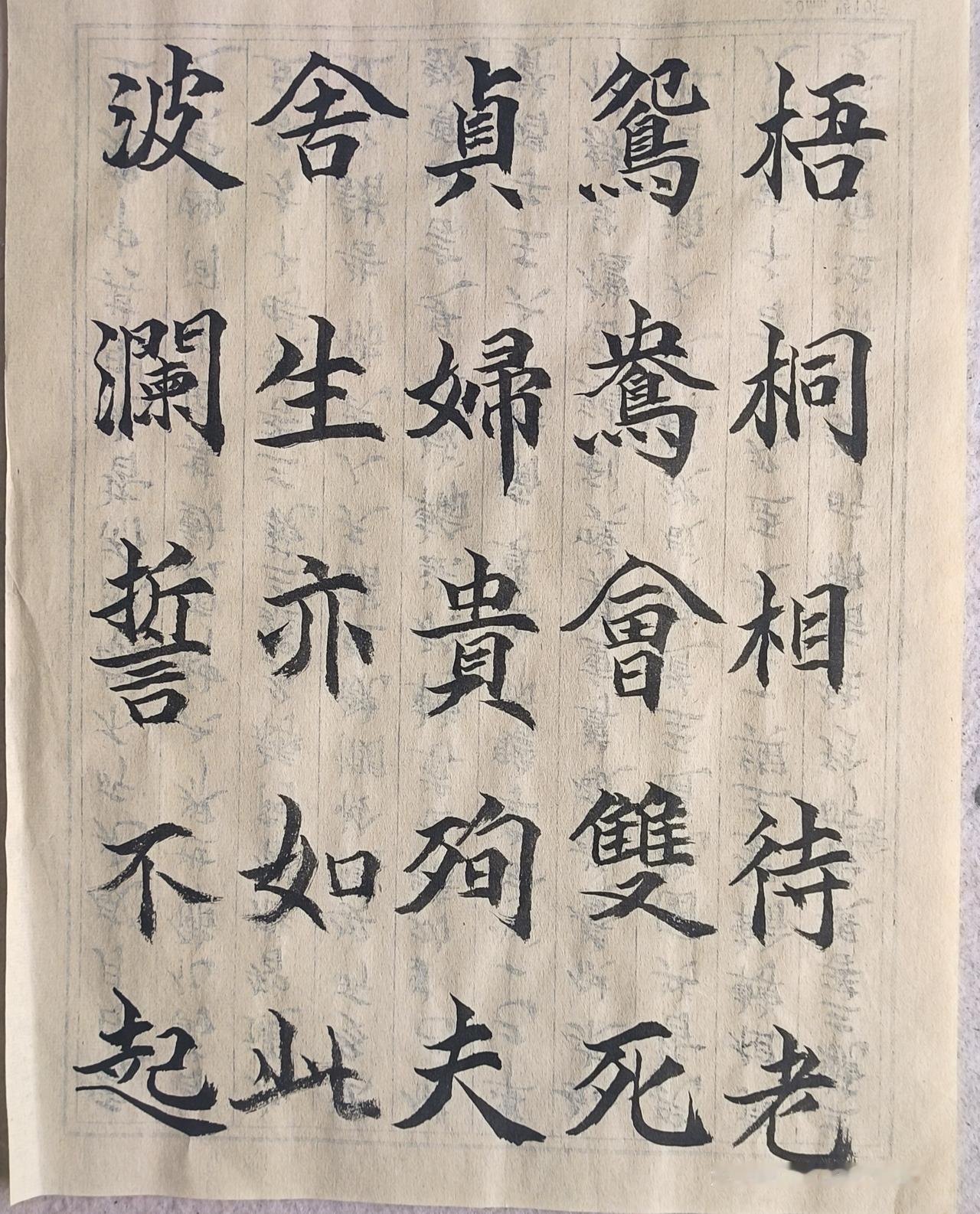 今天抄写的是孟郊诗二首。烈女操和游子吟。