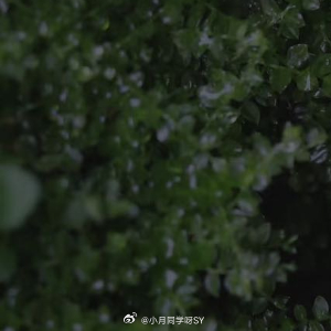 人生感悟 我们常常渴望命运的波澜，期盼外界的认可，但到最后会发现，人生最曼妙的风