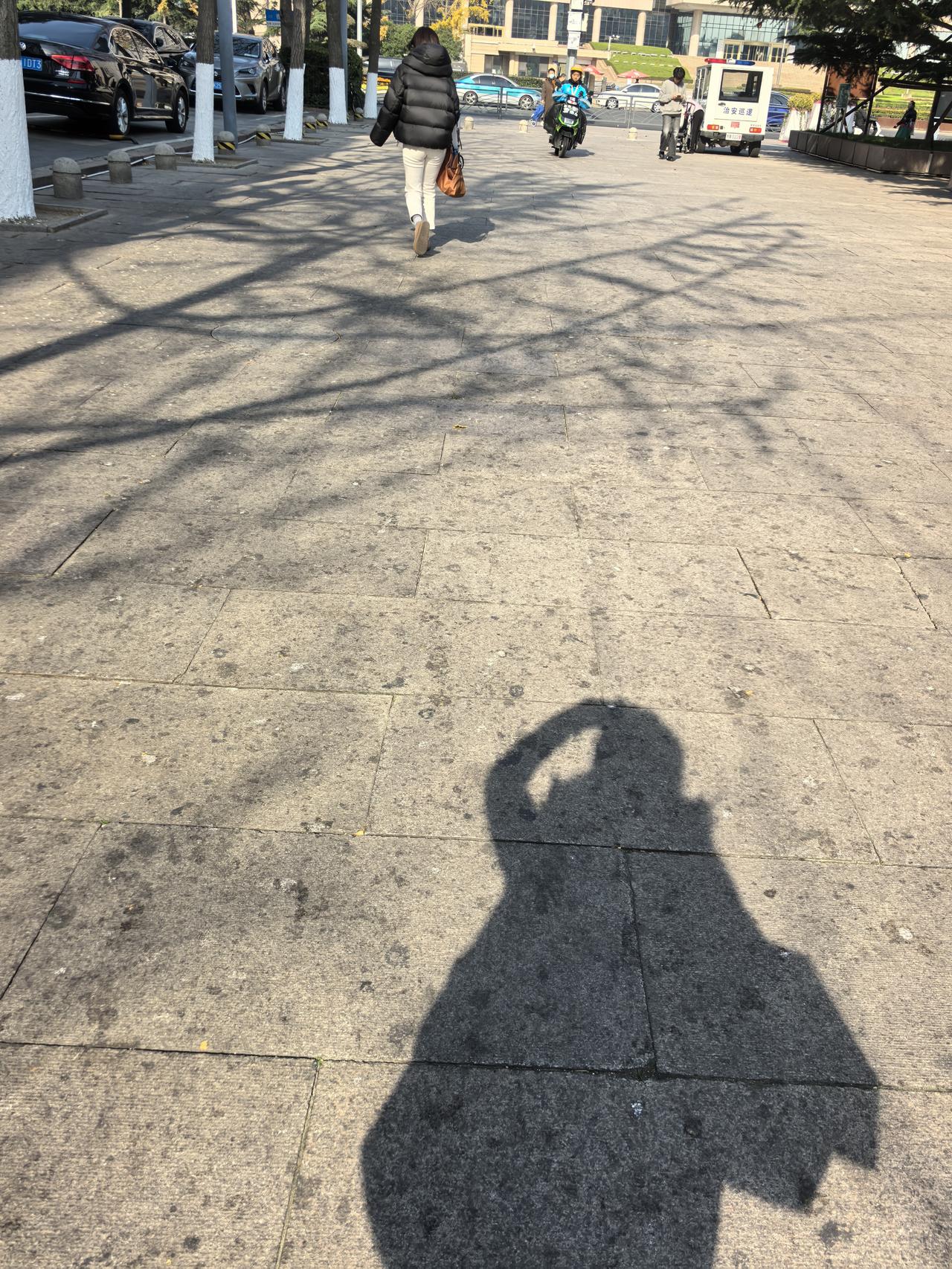 ，阳光温柔的洒在身上，依旧有一股清冷淡然的美丽[赞][玫瑰]