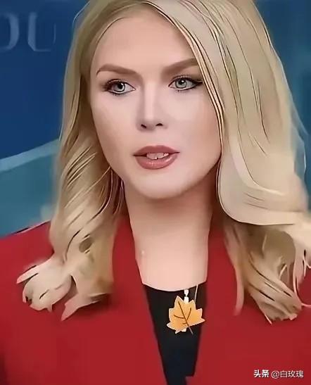 美国白宫宣布
2026年3月31日，美国白宫新闻秘书莱维特宣布了一个重要消息，她