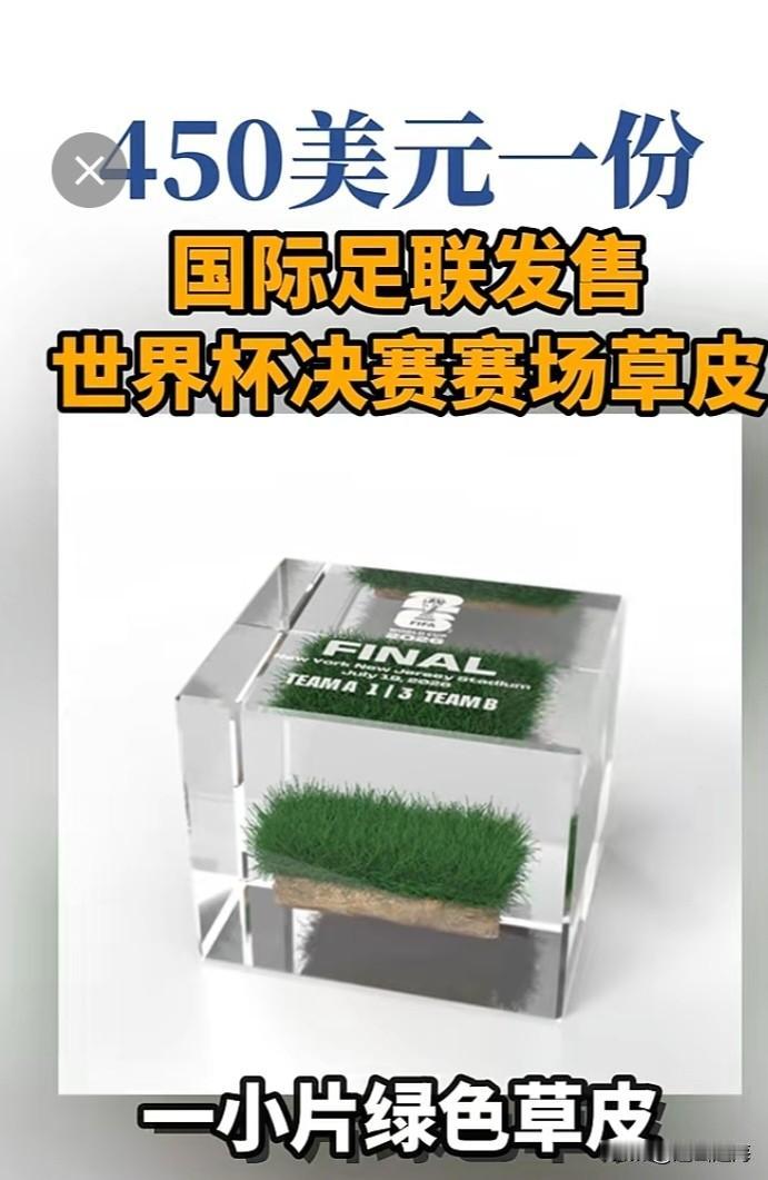 世界杯决赛场地草皮450美元一小块，快去买！世界杯足球赛决赛场地纽约新泽西体育场