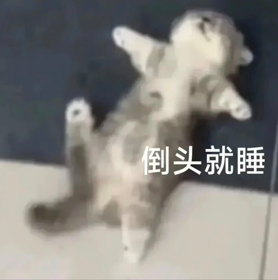 看完上半场困得不行，中场休息眯了会
