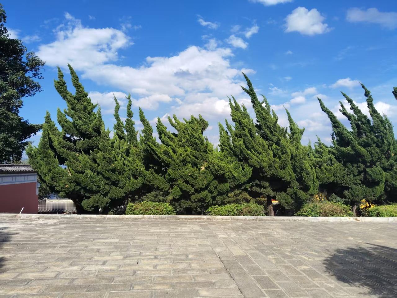 杨延昭:       我是老大不是老六。

北宋初年时期有一个说法，说北斗七星的