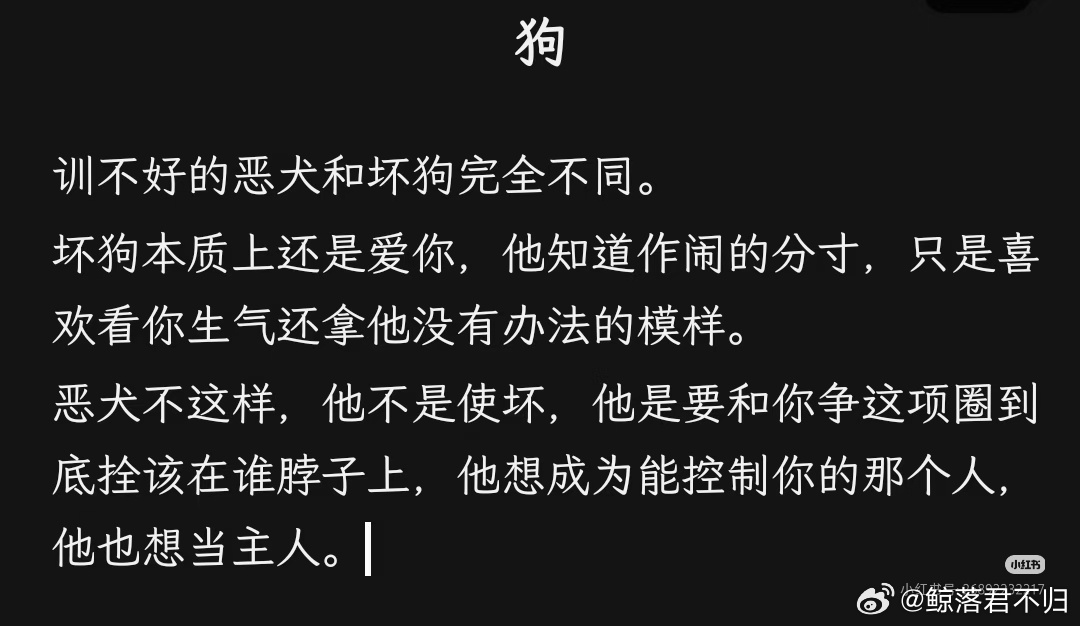 咳咳，其实恶犬跟坏狗的设定我都吃