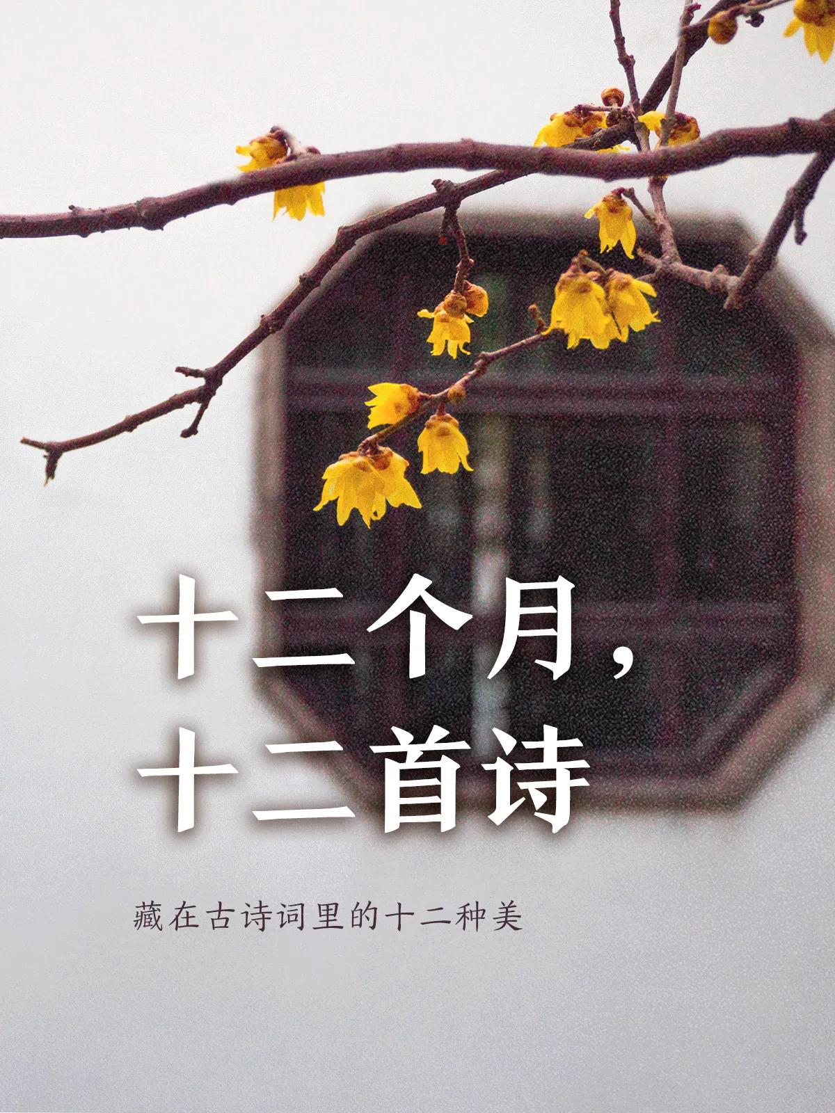 唯美，古代诗人诚不欺我，十二首诗蕴含十二种美，也描绘着一年之中十二个月的不同景色