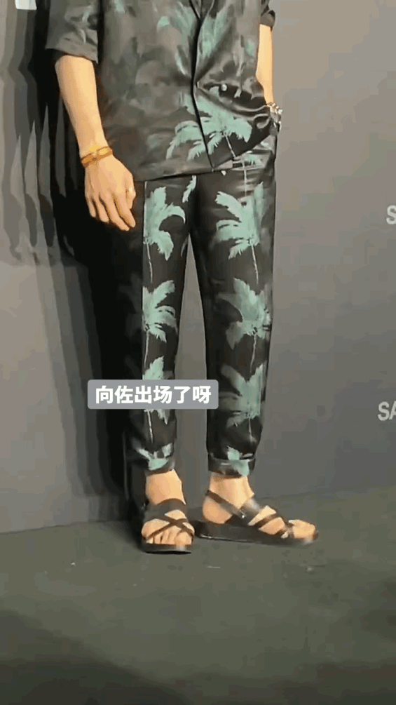 向佐帅气的爸，强势的妈。漂亮的媳妇儿，不太聪明的他。向佐自带谐星气质，他真是认真