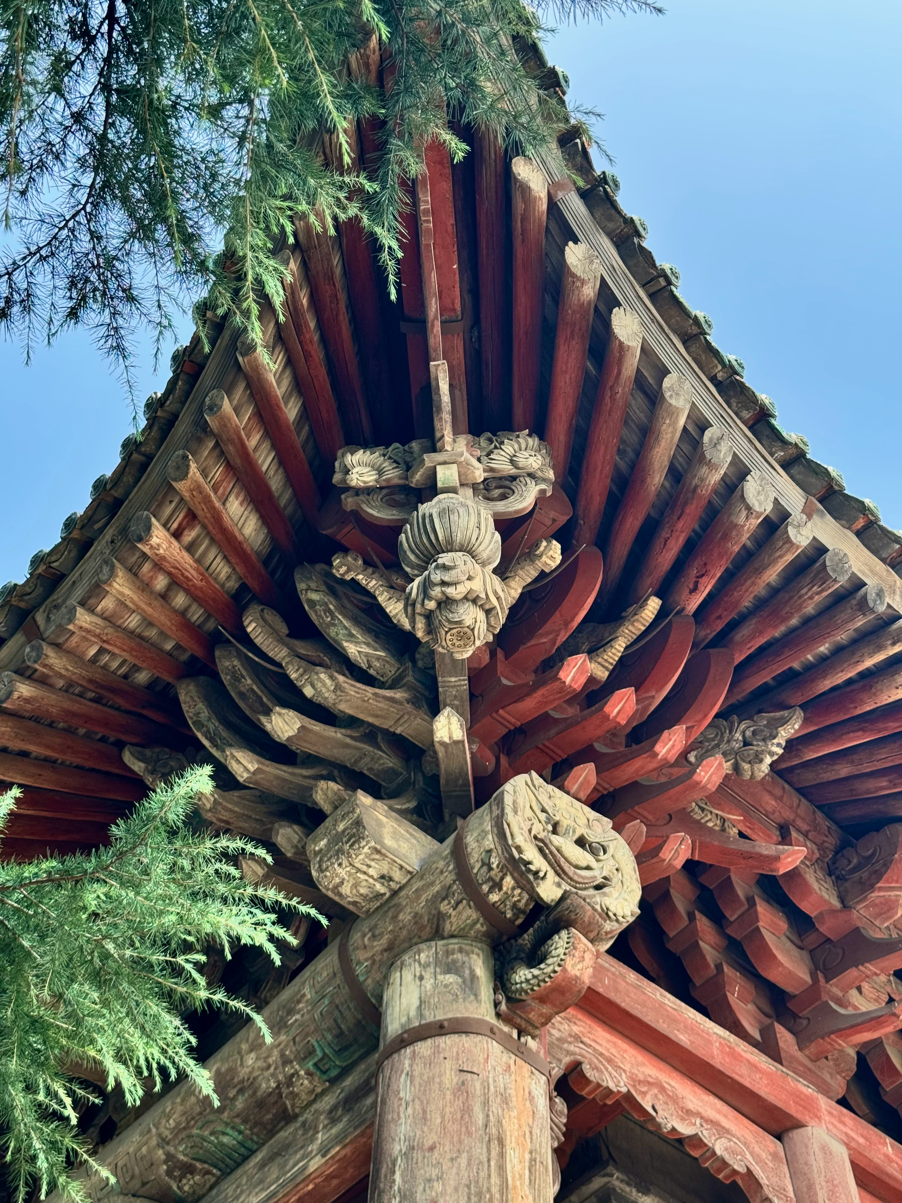 在韩城看了很多元代建筑，最喜欢的还是法王庙献殿，夏天的暑热在褪去，清风徐徐，大木