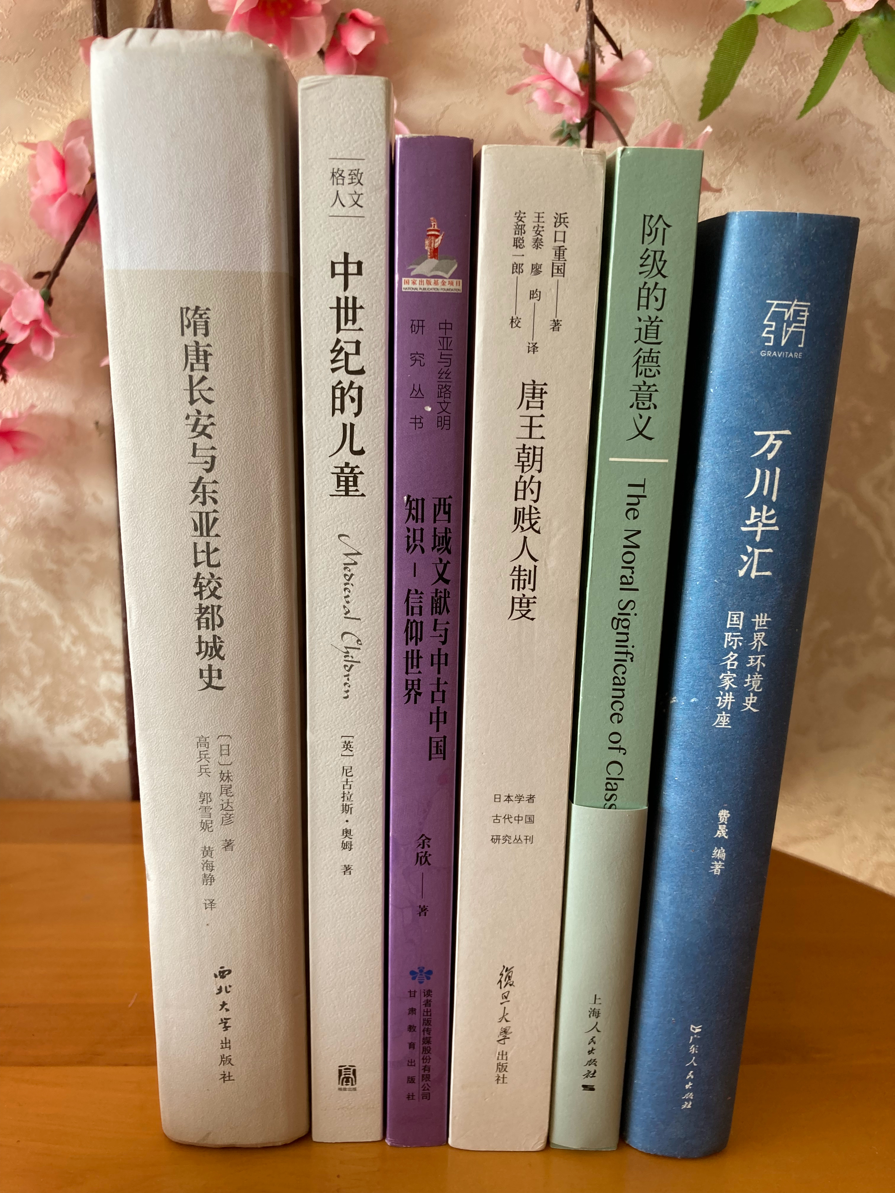 多抓鱼一单 书影多抓鱼 《隋唐长安与东亚比较都城史》《唐王朝的贱人制度》《西域文