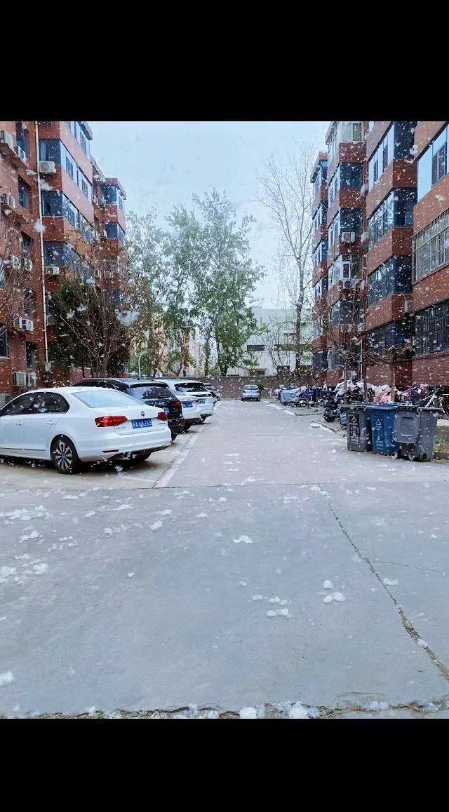 这么近那么美周末到河北石家庄 四月飘雪