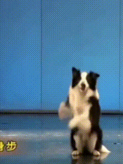 午餐 吃饭惹，你们吃啥 ​​​