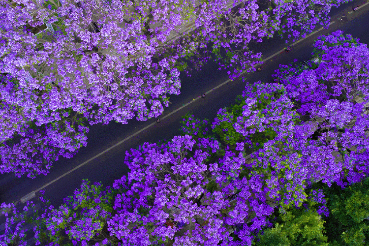 下联：春宵烂漫鸟声幽

赏析：此联以“春宵”对“夜色”，点明时节；“烂漫”对“朦