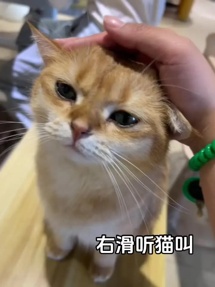 🕯️🕯️🕯️ 青岛大学 青岛大学宿管大爷