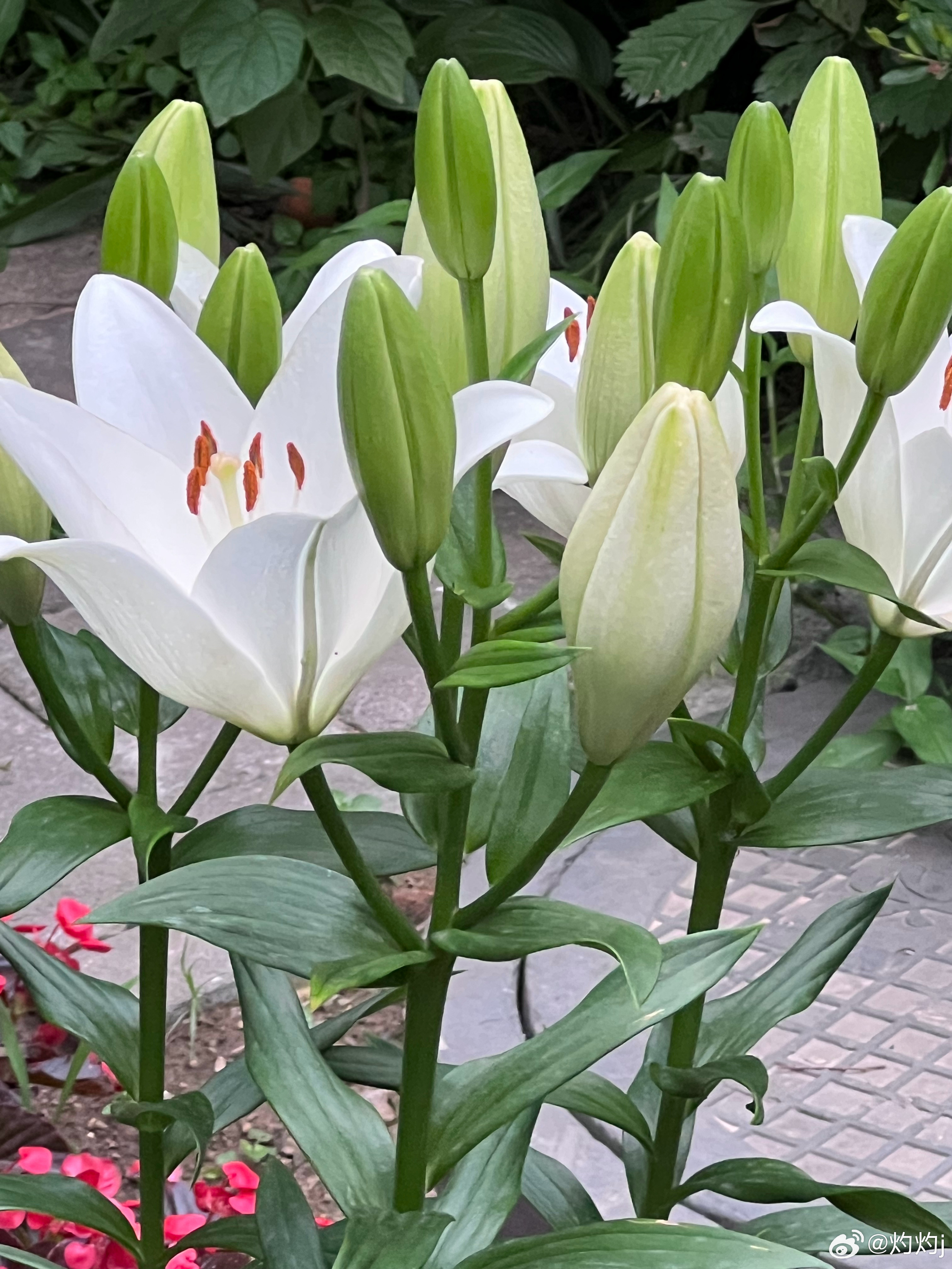 昨日姐妹三人小聚，闲谈间念起父亲，一桩桩往事涌上心头，满心皆是感慨与回望。父亲赠