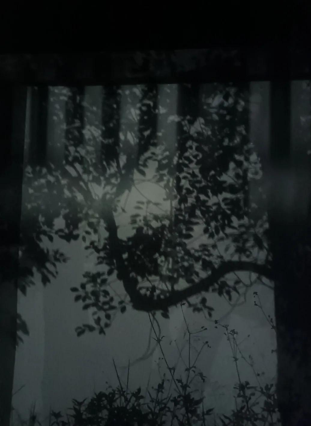 墙壁上的影子，我还以为是哪位画家画的。