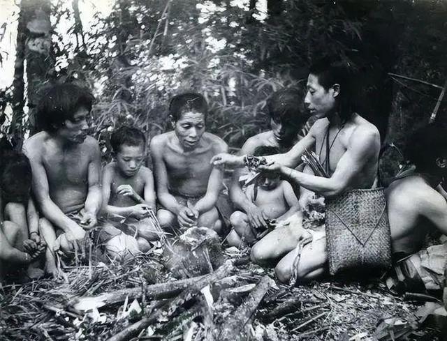 1956年，部队在云南原始森林深处，发现一群衣不蔽体、蓬头垢面的男男女女。经过调