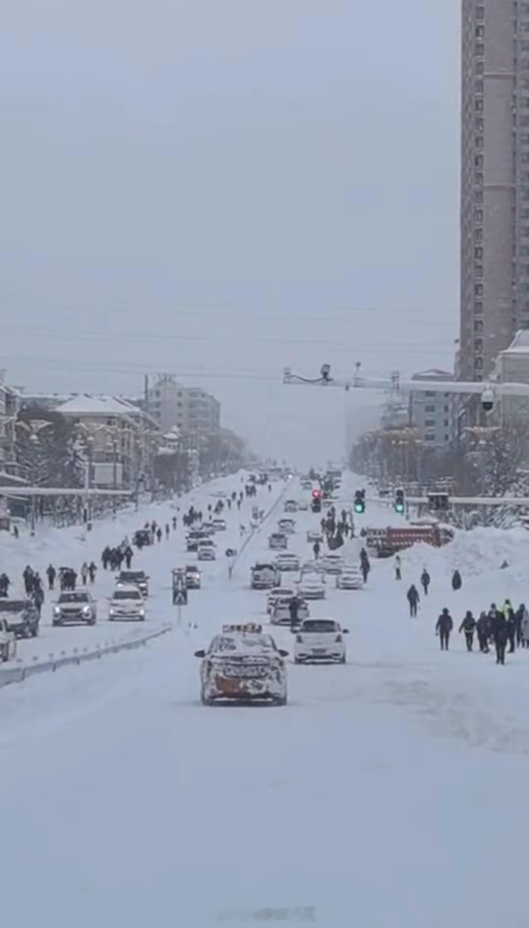 市民称鹤岗特大暴雪蔬菜没涨价 越是不发达地区自然灾害越多；换句话说也是人与自然最