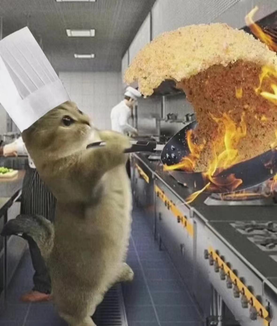 厨房油烟是潜伏在空气中的皮肤杀手。 ​​​油烟里面的大量酮、醛、芳香烃化合物，是