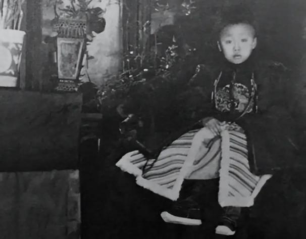 末代皇帝溥仪，九岁还在吃奶，紫禁城里的太监宫女私下议论纷纷，乳娘每次喂他都得把人