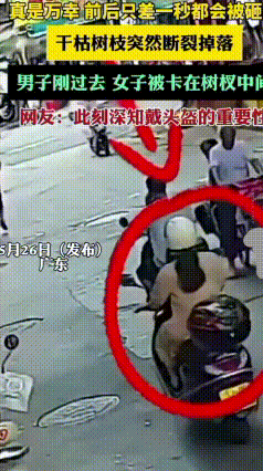 差一秒就被砸中！
路旁枯枝突然断裂坠落，前车男子侥幸躲开，后车女士却被树枝砸中夹