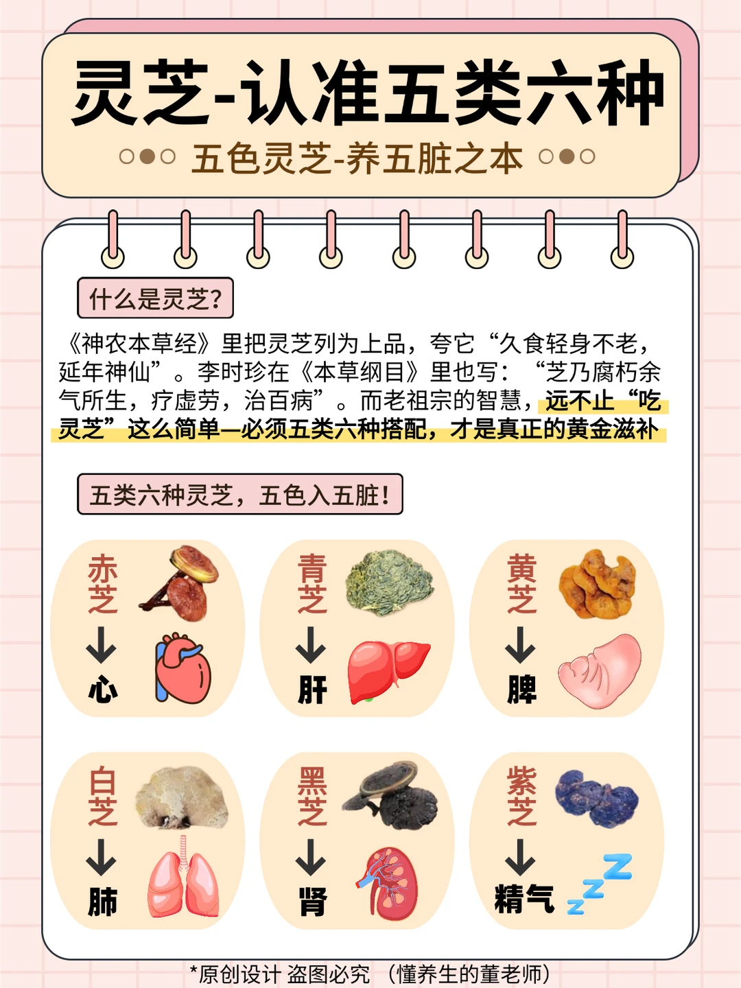 单一灵芝out！五类六种搭配才是天花板🆙