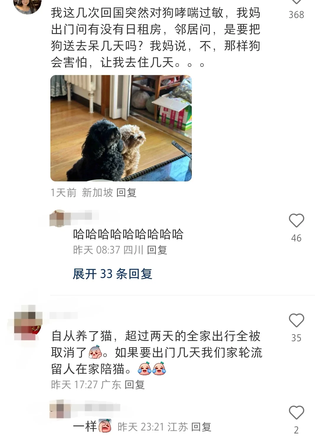 狗子是亲生的，我是领养的，行了吧！